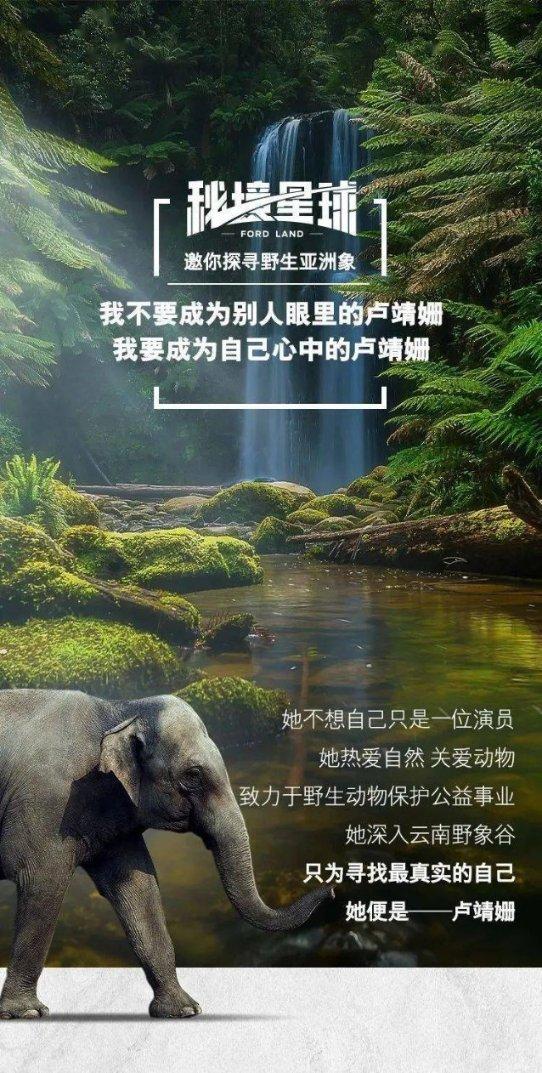 “记忆门诊”开诊啦!